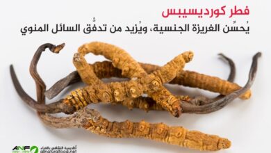فطر كورديسيبس cordyseps