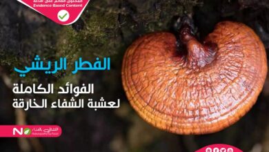 فوائد الفطر الريشي-التشافي بالغذاء