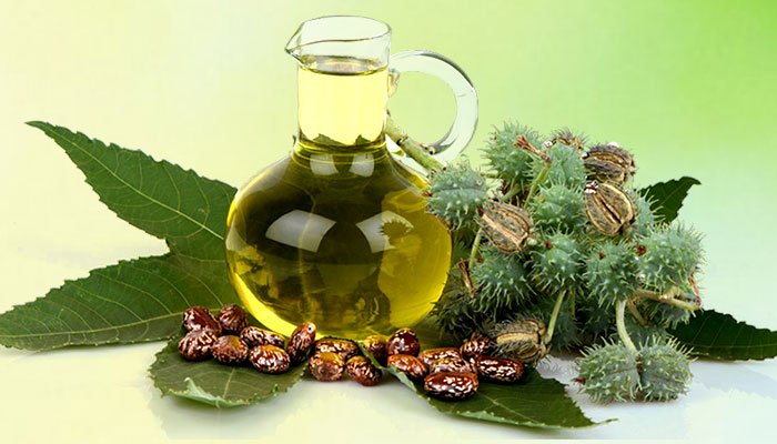 زيت الخروع الفوائد والأضرار-التشافي بالغذاء