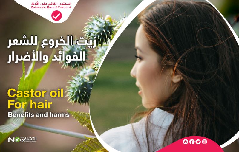 فوائد زيت الخروع للشعر-التشافي بالغذاء