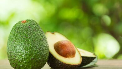 فوائد الافوكادو الغذائية والصحية-التشافي بالغذاء