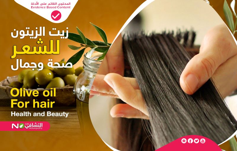 فوائد زيت الزيتون للشعر التشافي بالغذاء