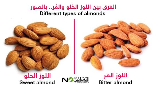 الفرق بين اللوز الحلو واللوز المر بالصور-التشافي بالغذاء