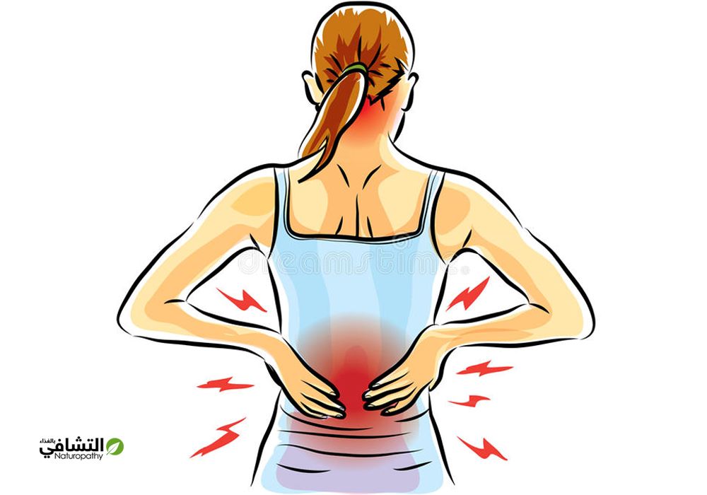 علاج الظهر والمفاصل بأعشاب طبيعية في المنزل-التشافي بالغذاء