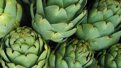 فوائد الألياف لعلاج الإمساك-التشافي بالغذاء