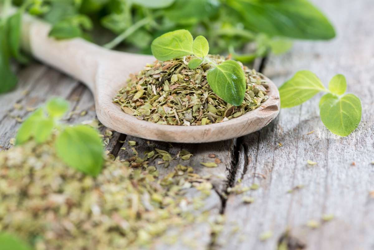 فوائد الزعتر للسعال والتهاب الحلق-التشافي بالغذاء