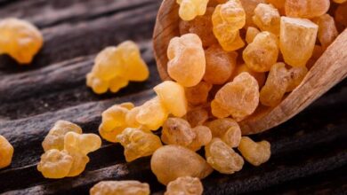 لبان الذكر علاج فعال للقولون والربو-التشافي بالغذاء