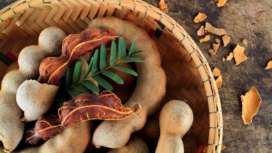 التمر الهندي قيمة غذائية وفوائد علاجية-التشافي بالغذاء