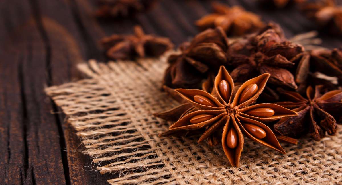 الفرق بين اليانسون النجمي والبذور، وأيهما أكثر فائدة؟