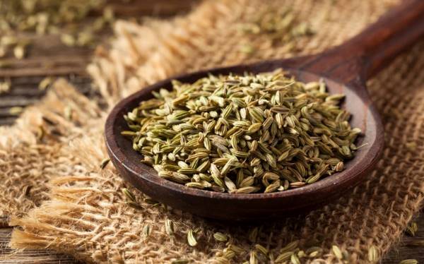 اليانسون عبارة عن بذرة صغيرة بنية اللون مائلة للون الأحضر قليلاً-التشافي بالغذاء