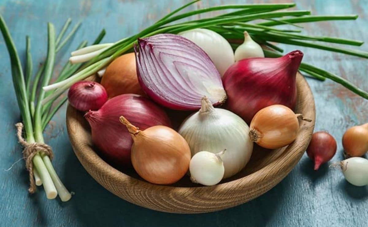 7 فوائد مذهلة من البصل لدعم صحتك-التشافي بالغذاء