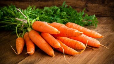 8 فوائد من الجزر تقوي المناعة والنظر-التشافي بالغذاء