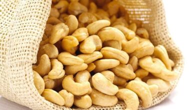 الكاجو: 8 فوائد لتعزيز مناعتك ودعم صحتك-التشافي بالغذاء