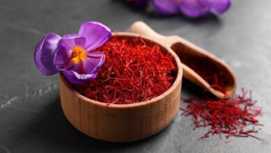 أنواع الزعفران وفوائده للرجل والمرأة-التشافي بالغذاء