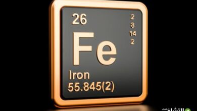 أعراض نقص الحديد وكيف نحصل عليه-التشافي بالغذاء