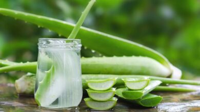 فوائد الصبار.. هل هي حقائق يدعمها العلم؟ التشافي بالغذاء