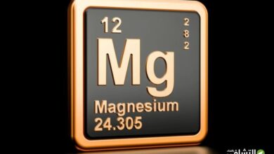 ماهي فوائد المغنيسيوم وكيف نحصل عليه؟-التشافي بالغذاء