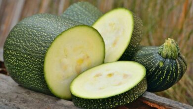 الكوسا تعزز الهضم وتحمي صحة العين-التشافي بالغذاء