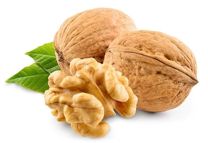بذور الجوز على خلفية بيضاء-التشافي بالغذاء