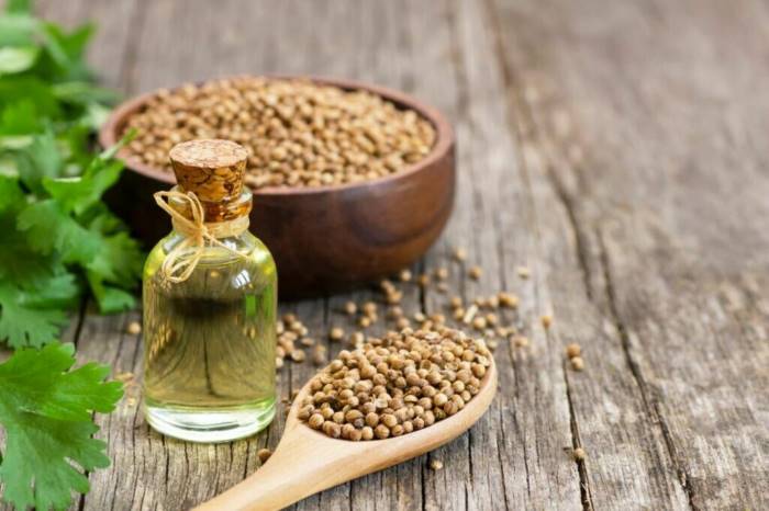 وعاء يحتوي على بذور الكزبرة وإلى جانبه زيت الكزبرة على خلفية خشبية-التشافي بالغذاء