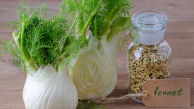 10 فوائد من الشمر يدعمها العلم-التشافي بالغذاء