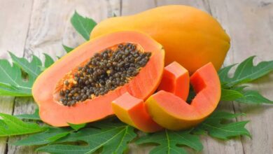 5 فوائد صحية وعلاجية من تناول البابايا-التشافي بالغذاء