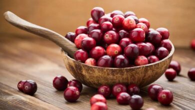 التوت البري يعزز المناعة وصحة المسالك البولية-التشافي بالغذاء