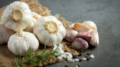 10 فوائد صحية من الثوم مثبتة علمياً-التشافي بالغذاء