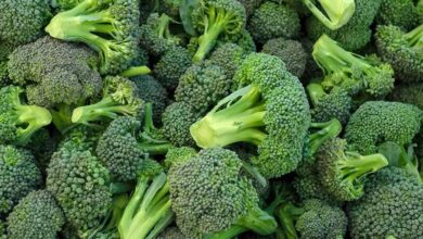 7 فوائد صحية مذهلة من تناول البروكلي-التشافي بالغذاء