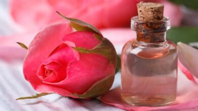 فوائد وطريقة تحضير ماء الورد في المنزل-التشافي بالغذاء