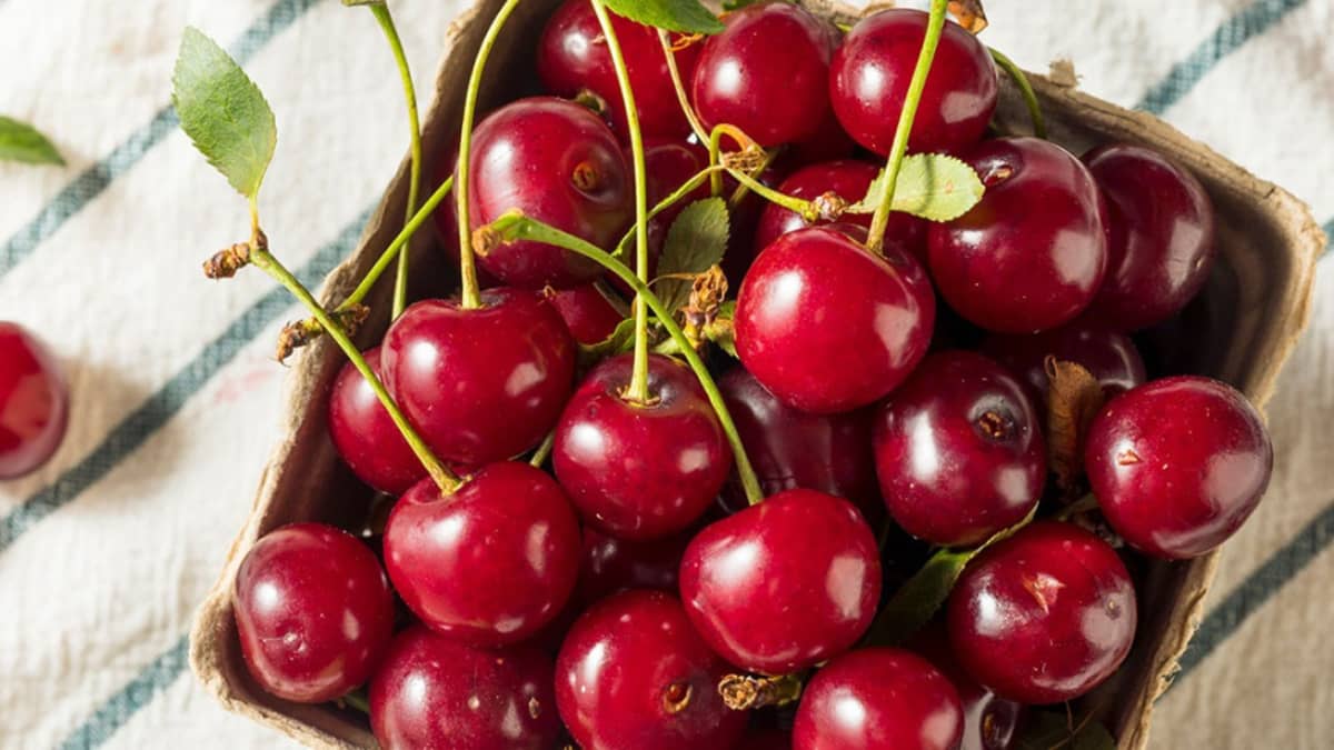 الكرز يحسن جودة النوم وعلاج للنقرس-التشافي بالغذاء