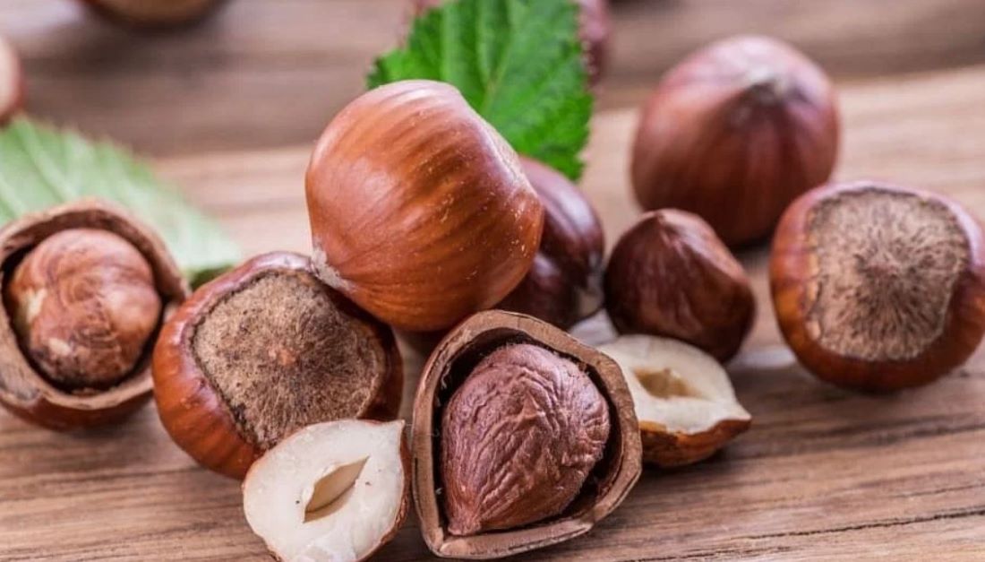 البندق: حقائق غذائية وفوائد علاجية-التشافي بالغذاء