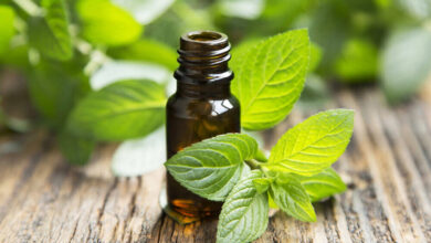 رائحة زيت النعناع تخفف الألم بعد جراحة القلب-التشافي بالغذاء