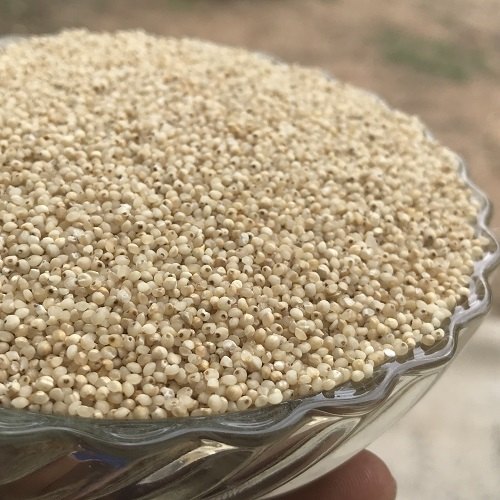 دخن بارنيارد مصدر ممتاز للألياف وبالتالي فهو يساعد على خسارة الوزن-التشافي بالغذاء