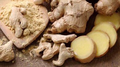 الزنجبيل مفيد لعلاج أمراض المناعة الذاتية-التشافي بالغذاء