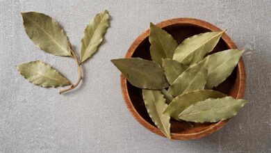 كيف تستخدم ورق الغار مثل خبراء الطهي-التشافي بالغذاء