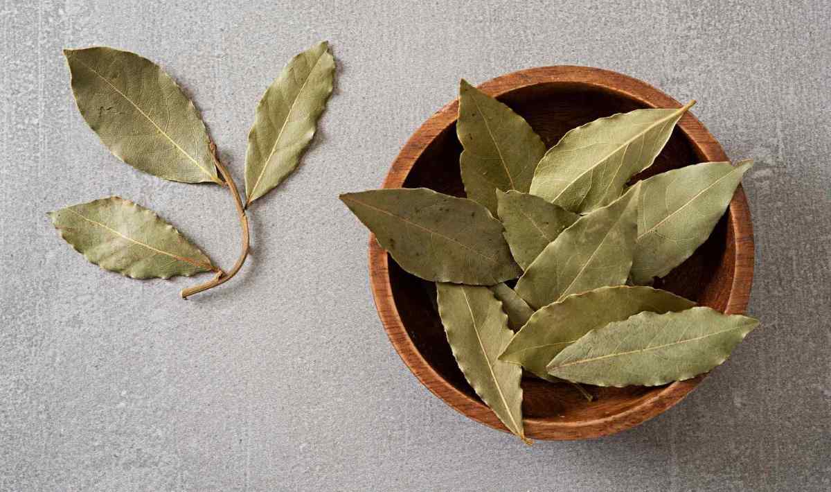 كيف تستخدم ورق الغار مثل خبراء الطهي-التشافي بالغذاء