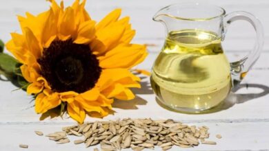 زيت عباد الشمس، الفوائد والمخاطر-التشافي بالغذاء