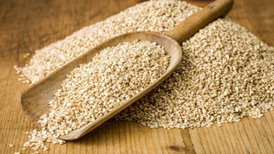 بذور السمسم مصدر للبروتين وعلاج للضغط-التشافي بالغذاء