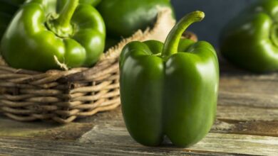 الفلفل الأخضر مليئ بالعناصر الغذائية الهامة.