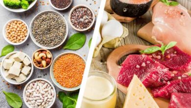 الغذاء النباتي مقابل الحيواني- أيهما الأفضل لبناء العضلات-التشافي بالغذاء