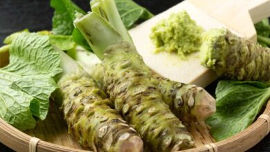 مجموعة جذور وسابي داخل طبق-التشافي بالغذاء